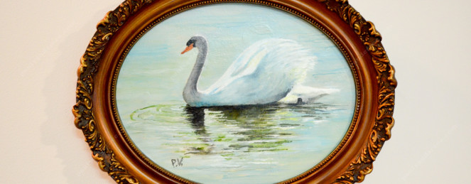 Swan