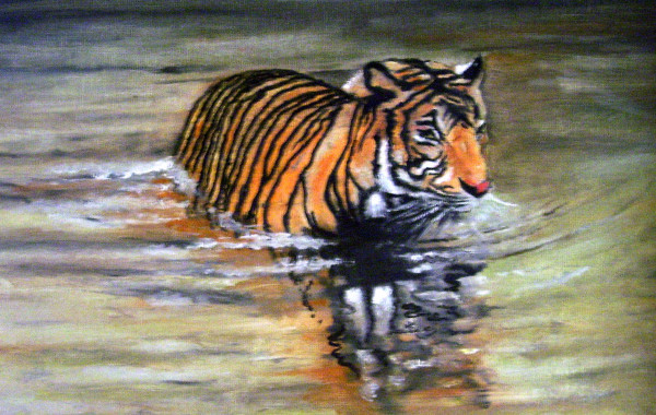 Tiger in Water