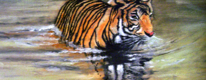 Tiger in Water