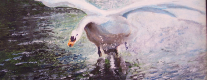 Swan in Flight